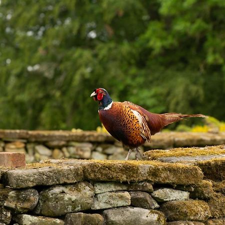 Rawcliffe House Farm Villa Pickering Esterno foto