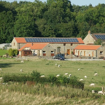 Rawcliffe House Farm Villa Pickering Esterno foto