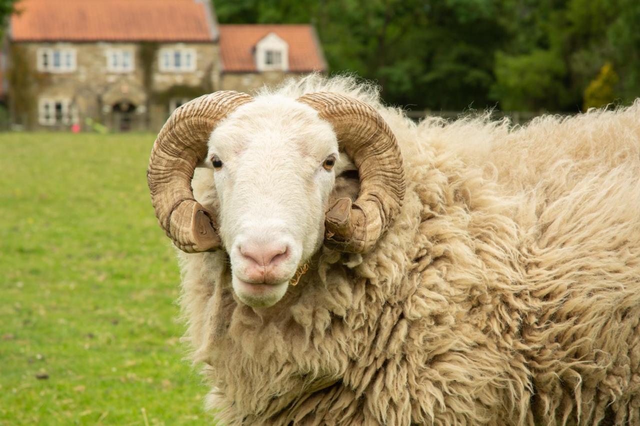 Rawcliffe House Farm Villa Pickering Esterno foto