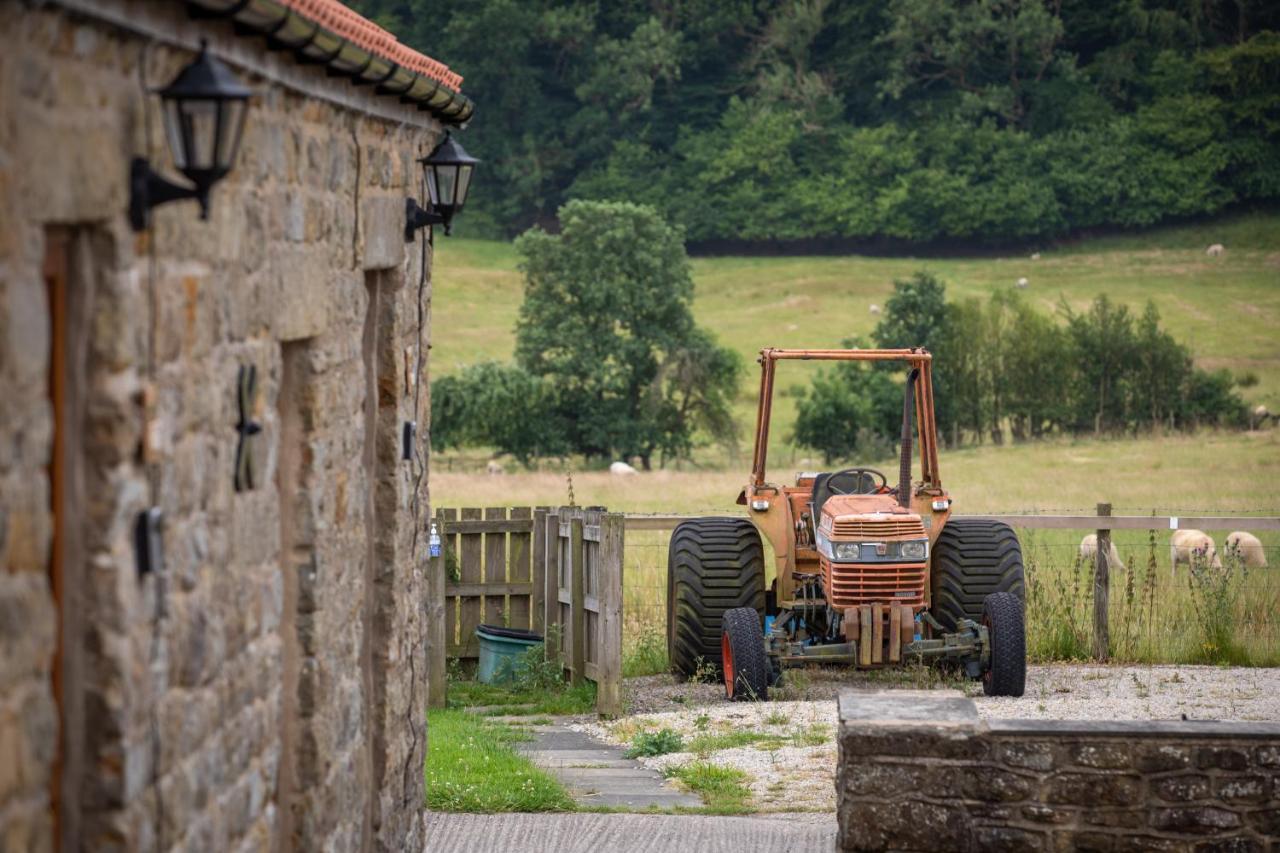 Rawcliffe House Farm Villa Pickering Esterno foto