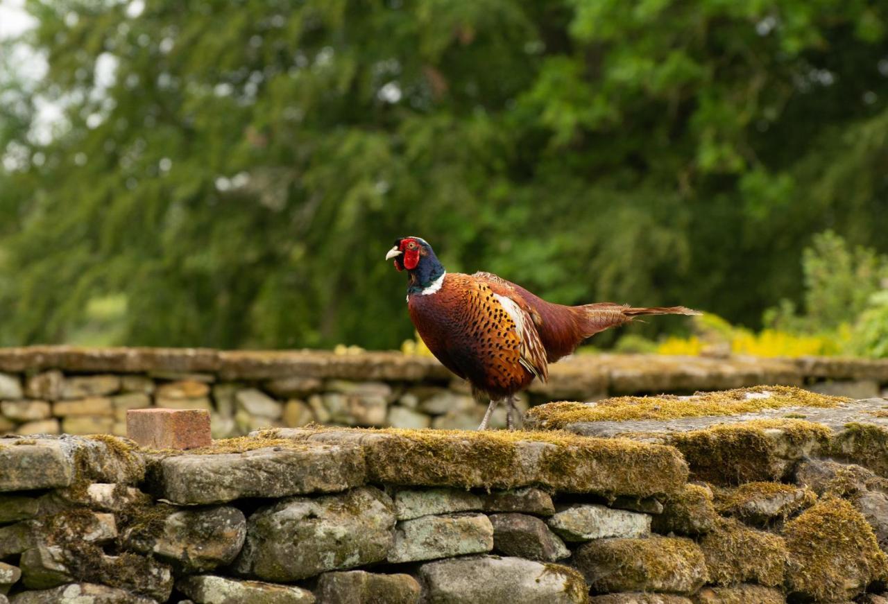 Rawcliffe House Farm Villa Pickering Esterno foto