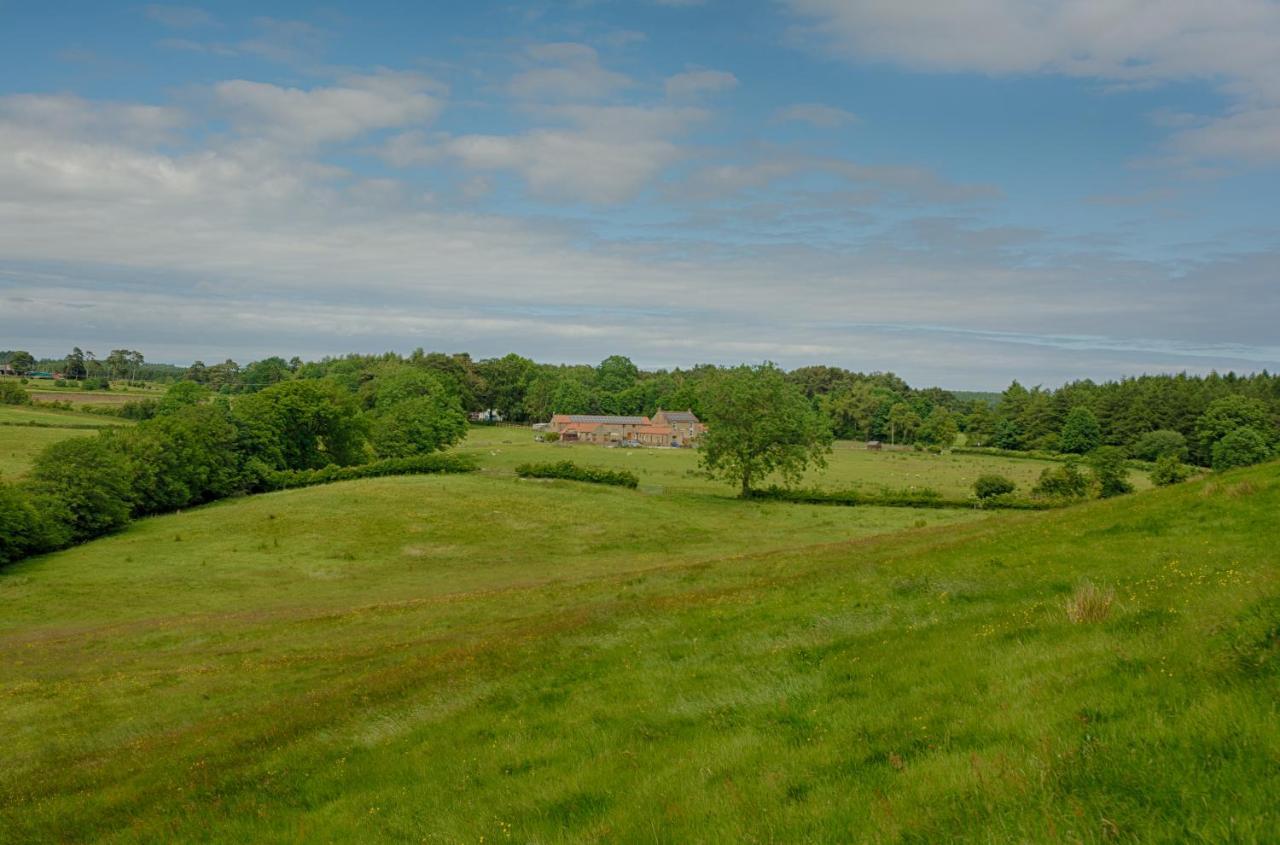 Rawcliffe House Farm Villa Pickering Esterno foto