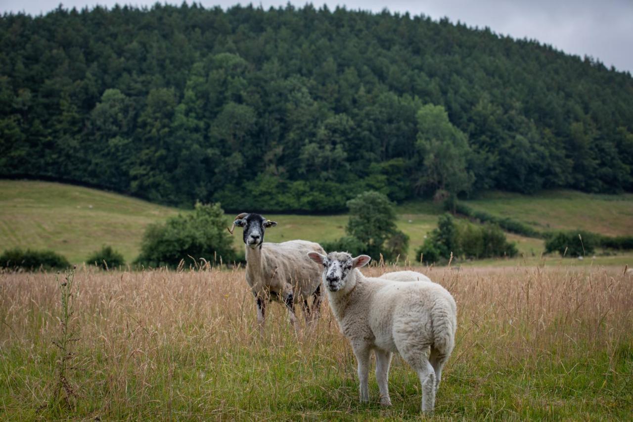 Rawcliffe House Farm Villa Pickering Esterno foto