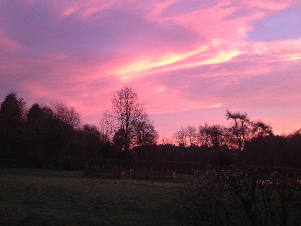 Rawcliffe House Farm Villa Pickering Esterno foto