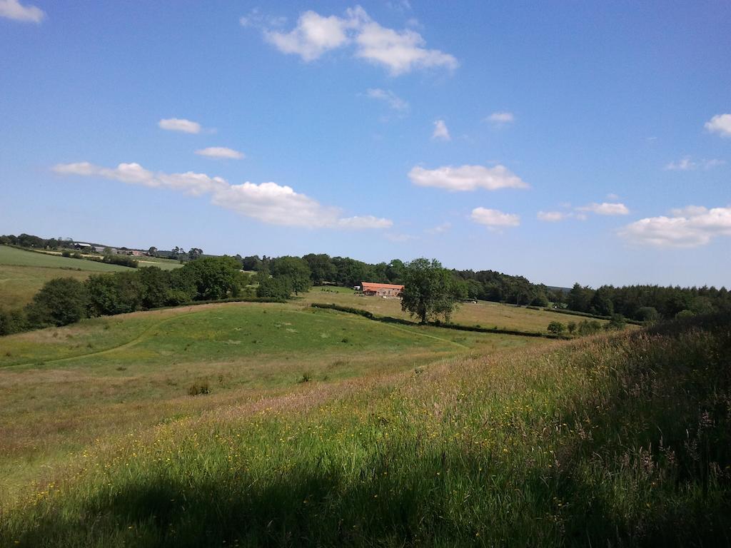 Rawcliffe House Farm Villa Pickering Esterno foto