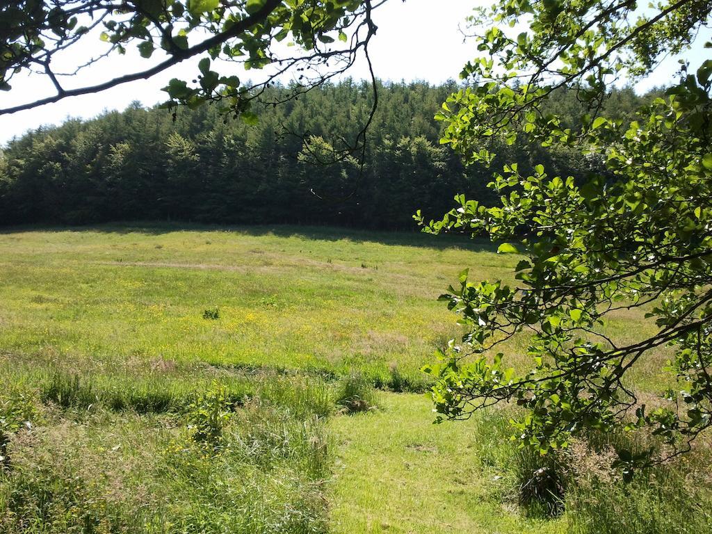 Rawcliffe House Farm Villa Pickering Esterno foto