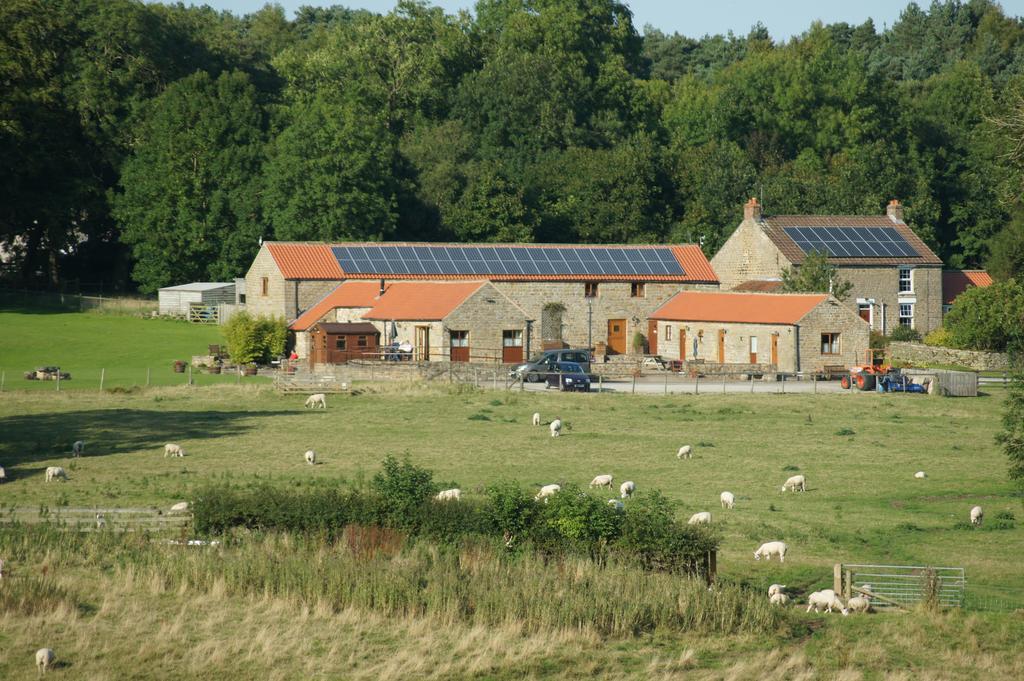 Rawcliffe House Farm Villa Pickering Esterno foto