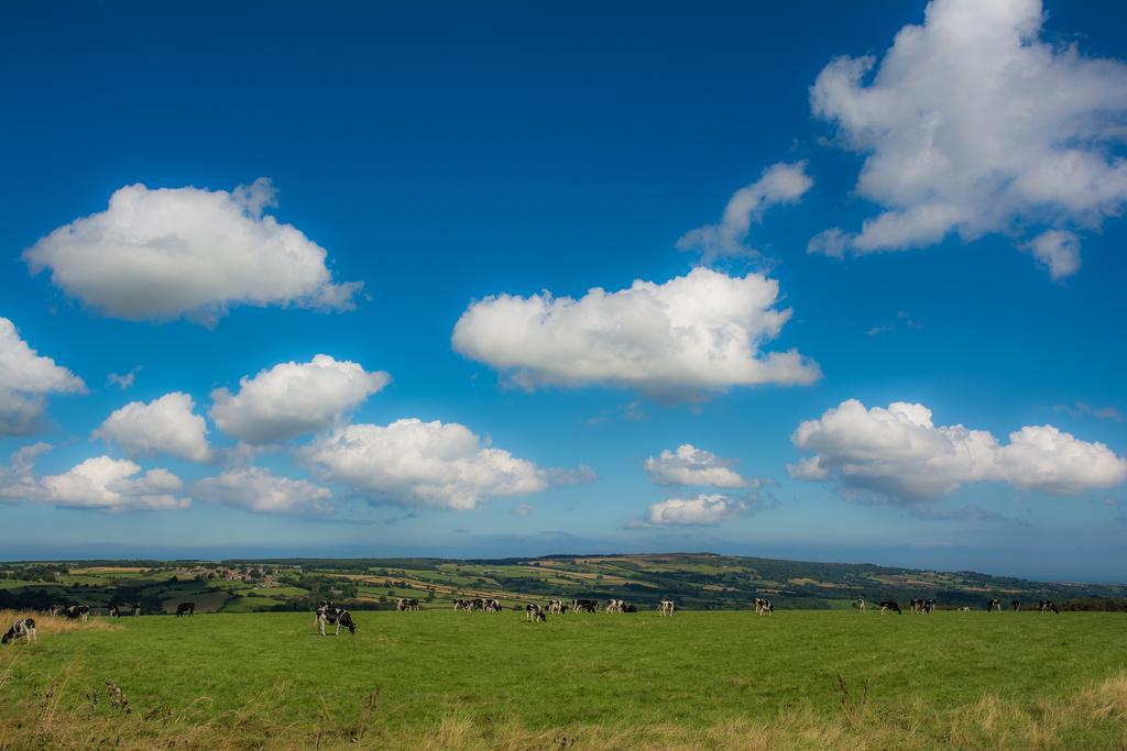 Rawcliffe House Farm Villa Pickering Esterno foto